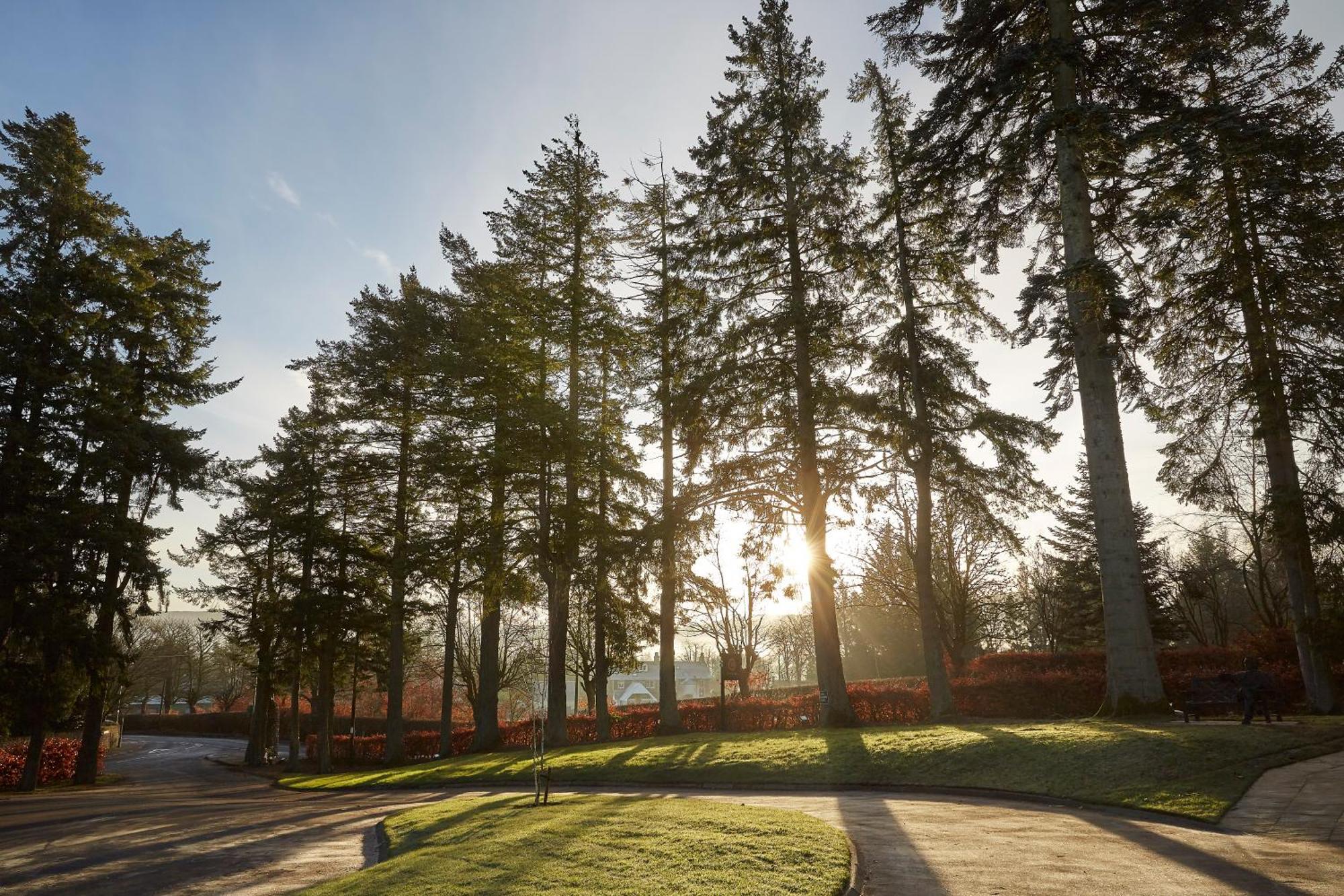 Cairn Lodge Auchterarder Dış mekan fotoğraf